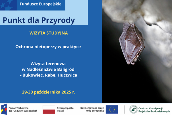 Wizyta studyjna „Ochrona nietoperzy w praktyce” – Polańczyk, 29–30 października 2025 r.