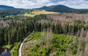 Fundusze Europejskie dla Dolnego Śląska 2021–2027