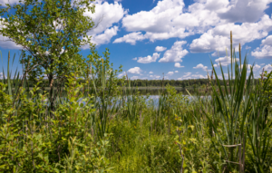 Fundusze Europejskie dla Lubelskiego 2021–2027