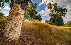 Fundusze Europejskie dla Lubuskiego 2021–2027