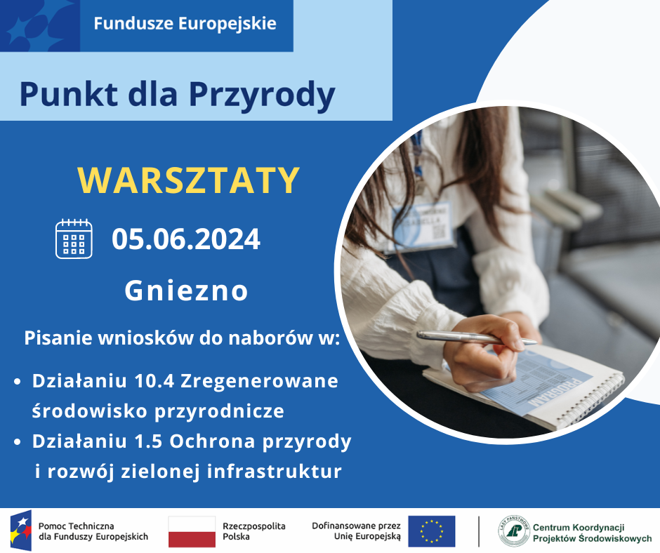 Warsztaty w Gnieźnie