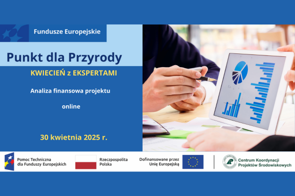 Kwiecień z ekspertami! Analiza finansowa projektu