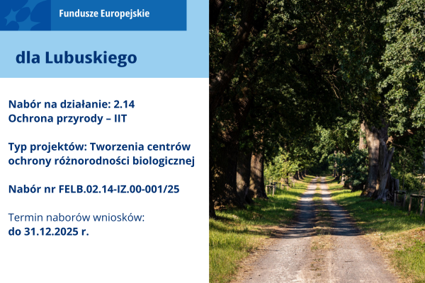 Po lewej informacje dotyczące naboru: działanie, typ projektu, numer naboru, termin naboru wniosków. W lewym górnym roku logo Punktu dla Przyrody i Fundusze Europejskie. Po prawej oświetlona promieniami słońca piaszczysta ścieżka wśród szpaleru drzew.