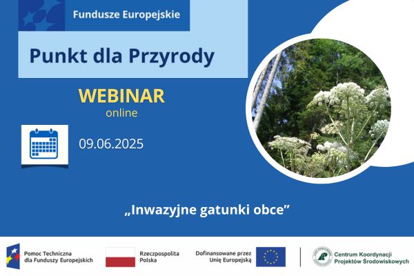 Webinar – Inwazyjne gatunki obce
