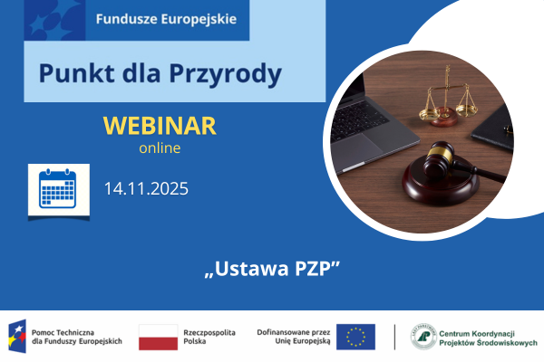 Ustawy prawo zamówień publicznych