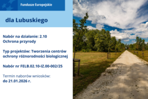 Informacja o naborze Fundusze Europejskie dla Lubuskiego