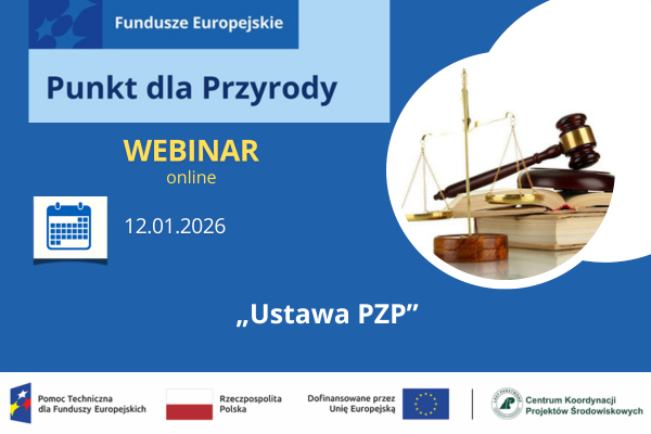 Ustawy Prawo zamówień publicznych