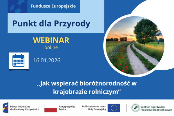 Jak wspierać bioróżnorodność w krajobrazie rolniczym