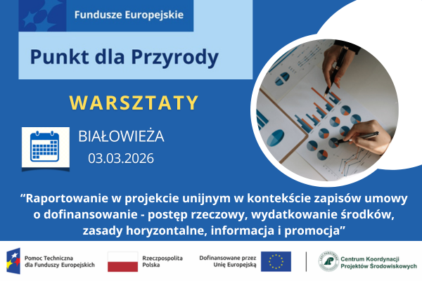 Raportowanie w projektach unijnych zapisów umów o dofinansowanie – postęp rzeczowy, wydatkowanie środków, zasady horyzontalne, informacja i promocja.