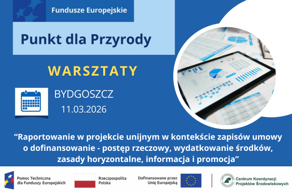 Raportowanie w projektach unijnych zapisów umów o dofinansowanie – postęp rzeczowy, wydatkowanie środków, zasady horyzontalne, informacja i promocja. 